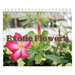 Calendário de Parede de Coleção de Flores Exóticas