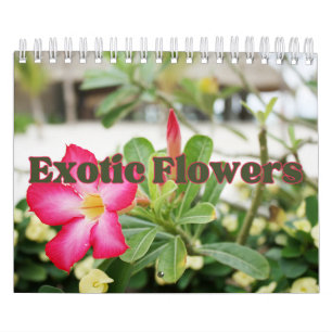 Calendário de Parede de Coleção de Flores Exóticas