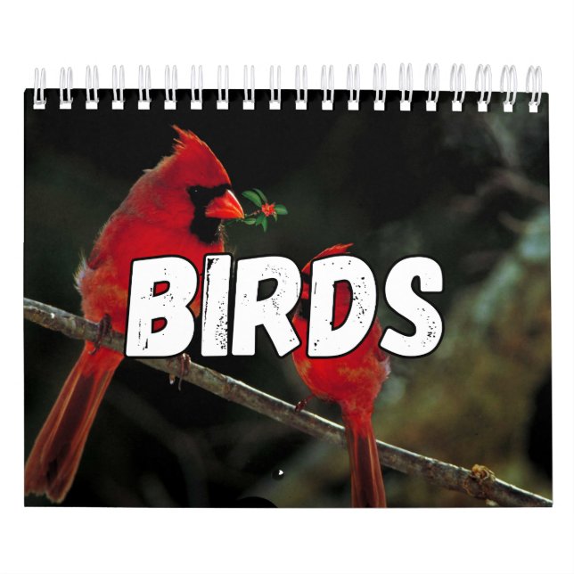 Calendário de Parede de Coleção de Pássaros (Capa)