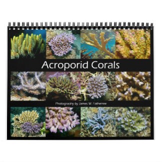 Calendário de Parede de Corais Acroporidos por J.W