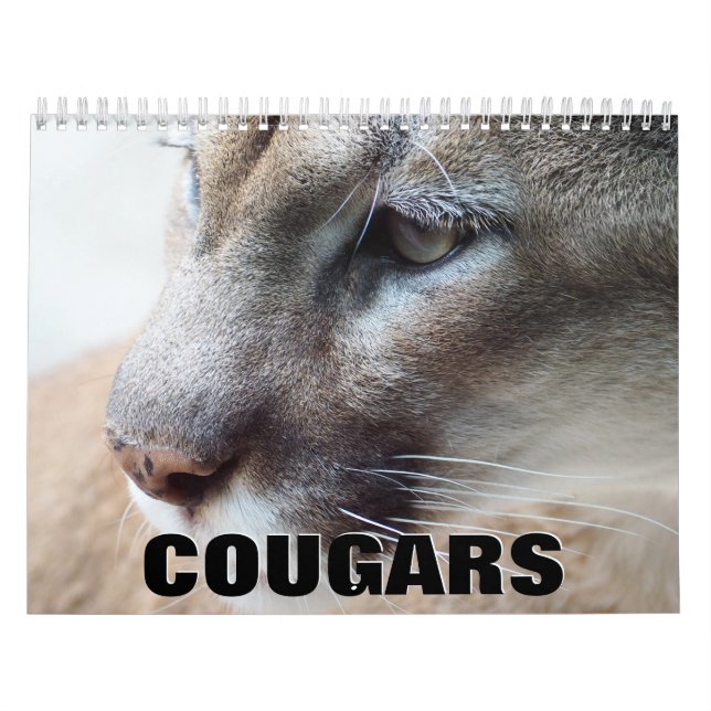 Calendário de Parede de Cougars (Capa)