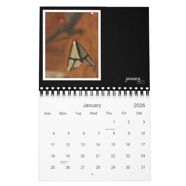 Calendário de Parede de Critérios e Insetos 2013 (Jan 2026)