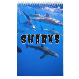 Calendário de Parede de Exibição de Coleção de Tub