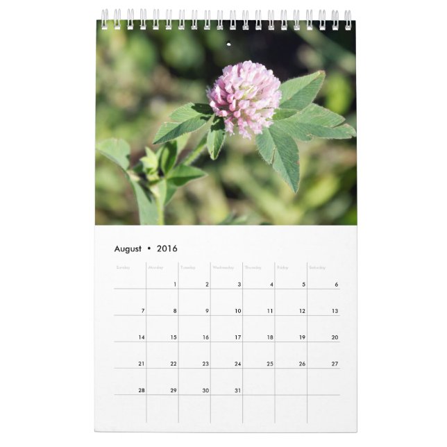 Calendário de Parede de Fotografia Personalizada (Ago 2016)