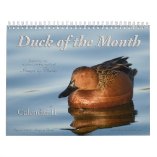 Calendário de Parede de Fotos Duck 2026