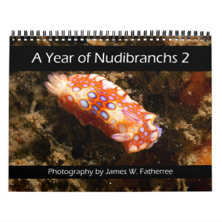 Calendário de Parede de Nudibrânquio 2 por J. Fath