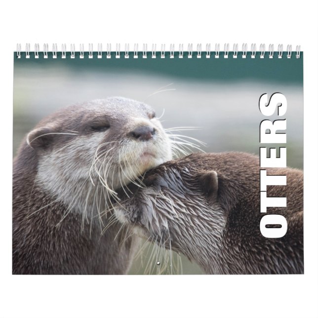 Calendário de Parede de Otters (Capa)