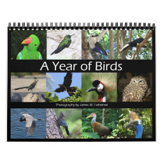 Calendário de Parede de Pássaros Sortidos por J.W.