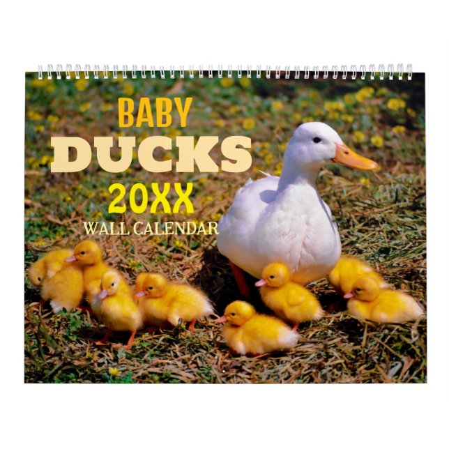 Calendário de Parede de Patinhos Fofos 2027 (Capa)
