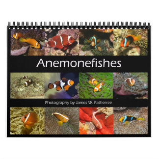 Calendário de Parede de Peixes-Anêmona por J.W. Fa