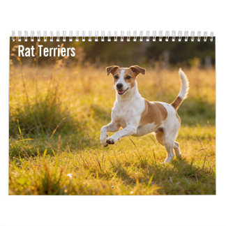 Calendário de parede de Rat Terriers 2027