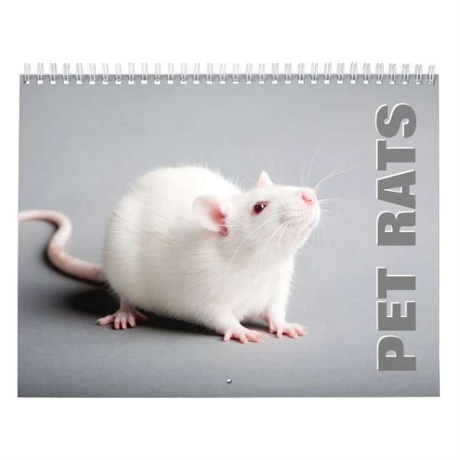 Calendário de Parede de Ratos Pet (Capa)