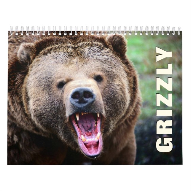 Calendário de Parede de Ursos Cinzentos (Capa)