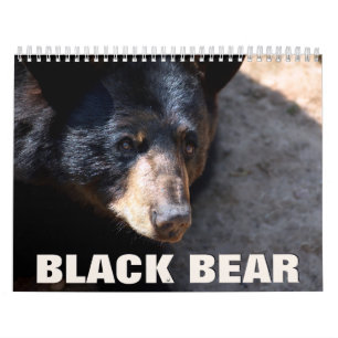 Calendário de Parede do Black Bear 2022