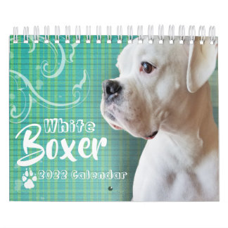 Calendário de Parede do Boxer Branco