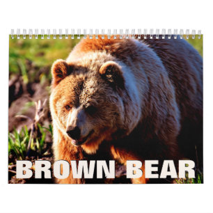 Calendário de Parede do Brown Bear 2022