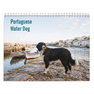 Calendário de parede do Cão de Água Português 2027