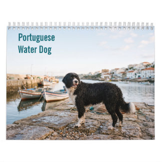 Calendário de parede do Cão de Água Português 2027