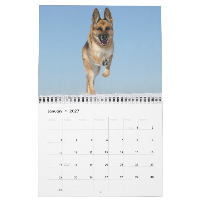 Calendário de parede do cão de german shepherd (Jan 2027)
