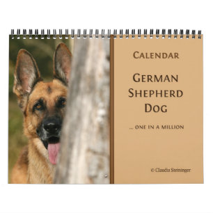 Calendário de parede do cão de german shepherd