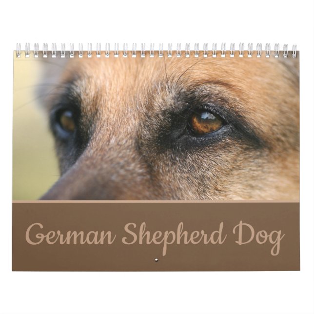 Calendário de parede do cão de german shepherd (Capa)