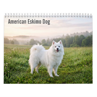 Calendário de parede do Cão Esquimó Americano 2027