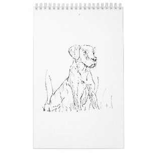 Calendário de Parede do Golden Retriever, Presente