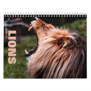 Calendário de Parede do Lions 2022
