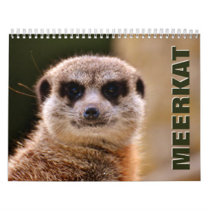 Calendário de Parede do Meerkats 2022