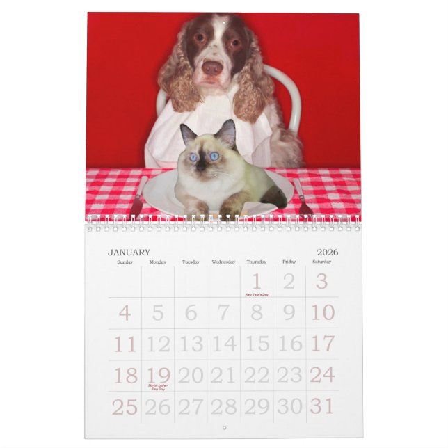 Calendário de parede do moedor do gato (Jan 2026)