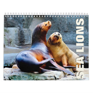 Calendário de Parede do Sea Lions 2022