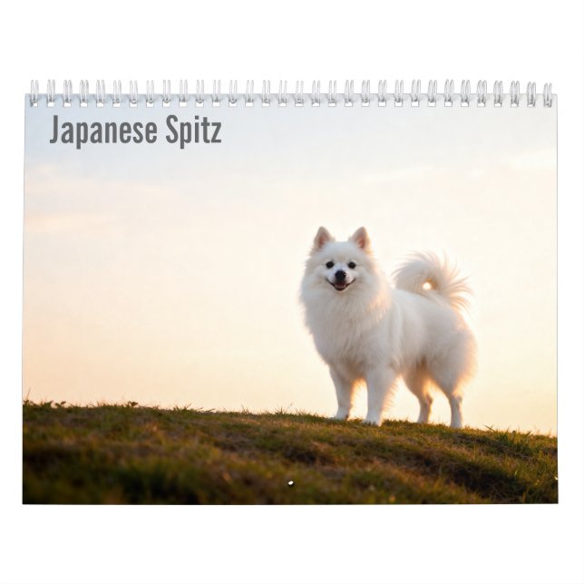 Calendário de parede do Spitz Japonês 2027 (Capa)