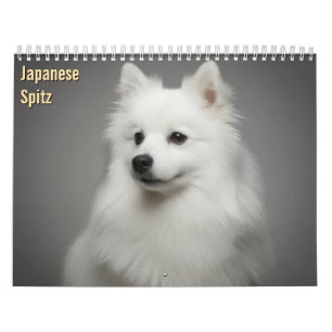 Calendário de Parede do Spitz Japonês 2027