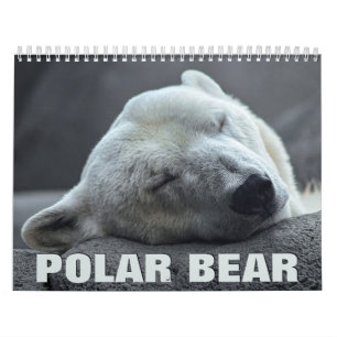 Calendário de Parede do Urso Polar