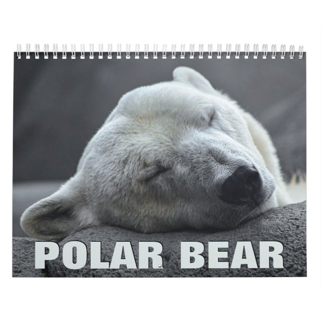 Calendário de Parede do Urso Polar (Capa)