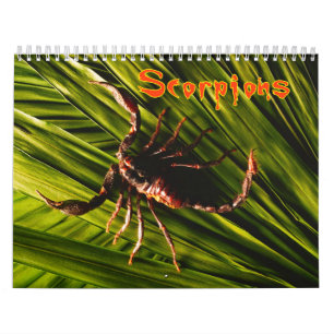 Calendário de parede dos escorpião