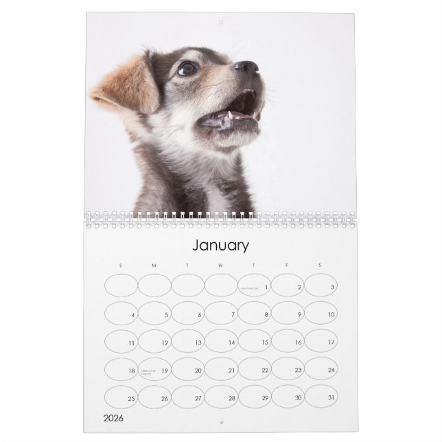 Calendário de parede dos filhotes de cachorro 2012 (Jan 2026)