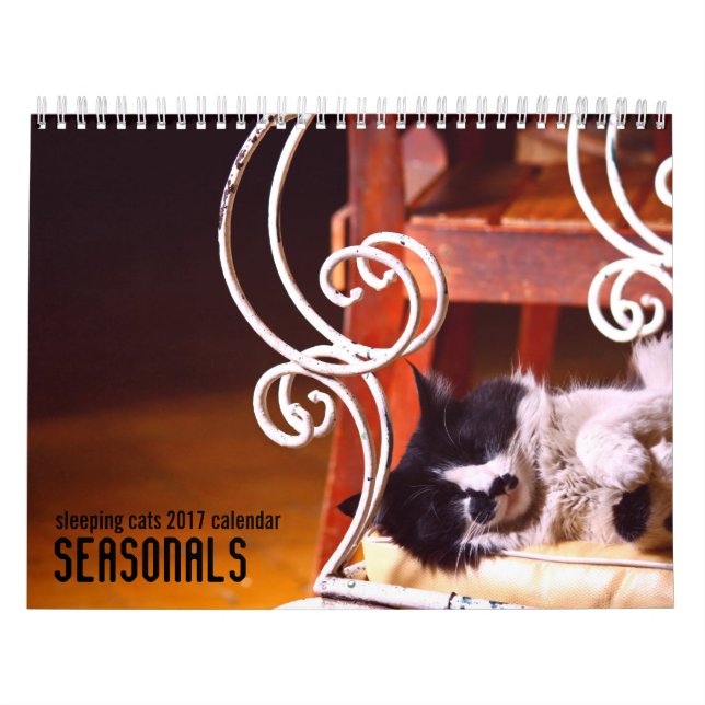 Calendário de parede dos gatos 2017 do sono (Capa)