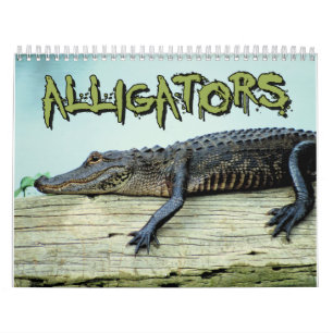 Calendário de parede dos jacarés