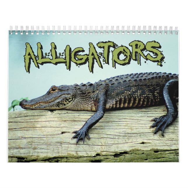Calendário de parede dos jacarés (Capa)