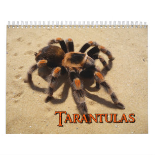 Calendário de parede dos Tarantulas