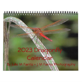 Calendário de Parede Dragonfly 2023
