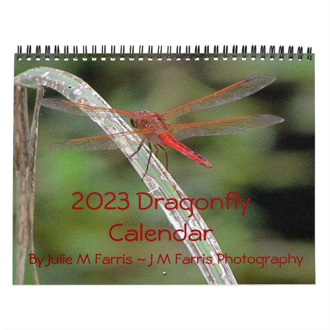 Calendário de Parede Dragonfly 2023 (Capa)