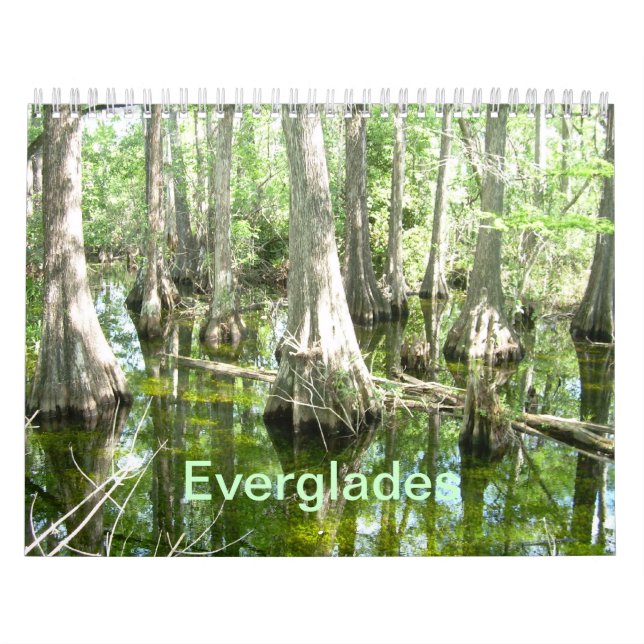 Calendário de Parede Everglades (Capa)