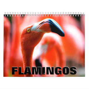 Calendário de Parede Flamingos