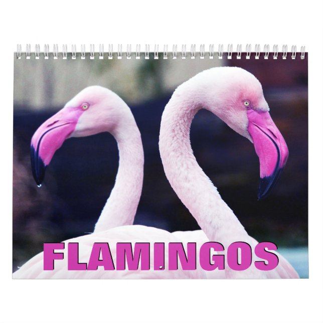 Calendário de Parede Flamingos Rosa (Capa)