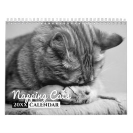 Calendário de Parede Fotográfica de Gatos de Nápol