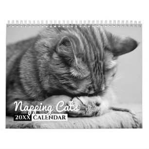 Calendário de Parede Fotográfica de Gatos de Nápol