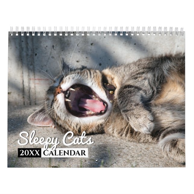 Calendário de Parede Fotográfica de Gatos Sonoros (Capa)