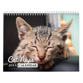 Calendário de Parede Fotográfica do Cat Naps